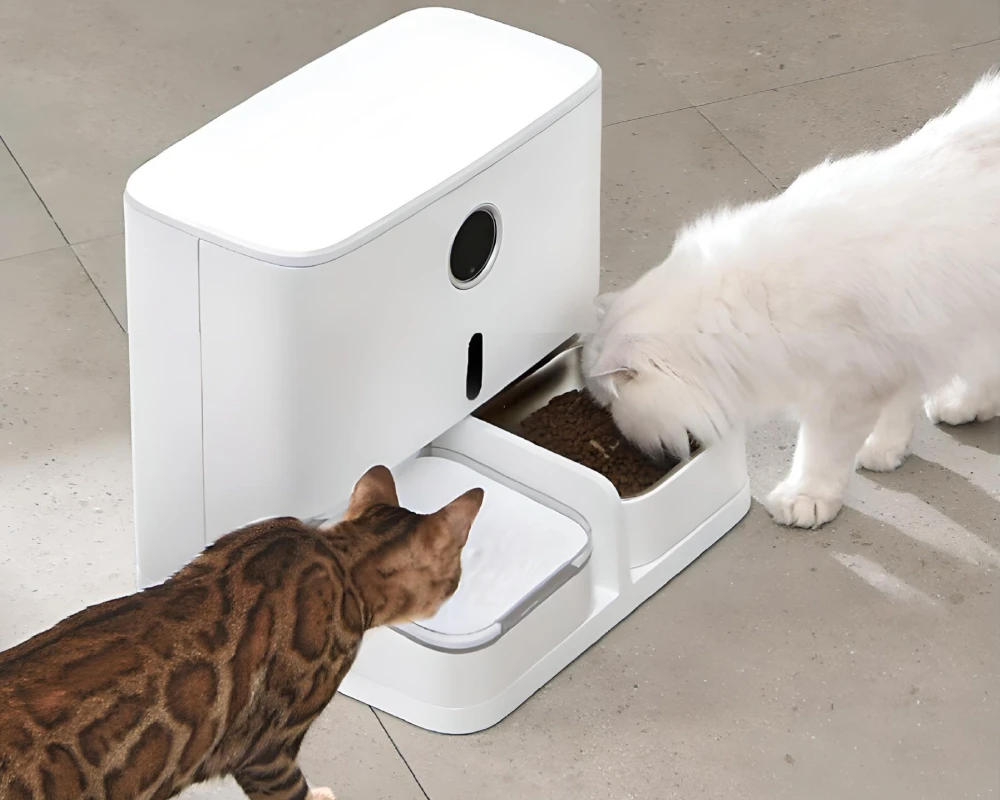 best automatic pet feeder with camera